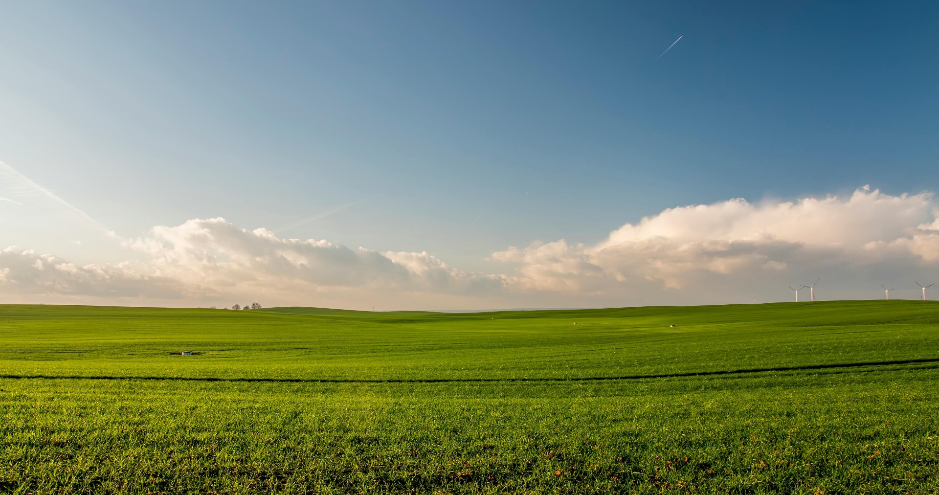 Campos verdes agrícolas con cielo azul
